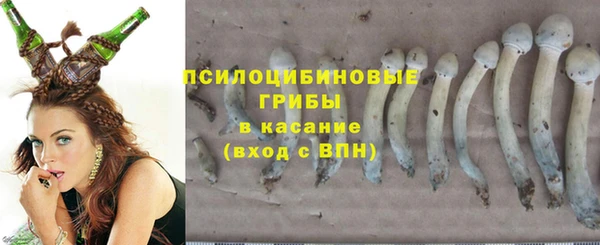 гидропоника Богданович