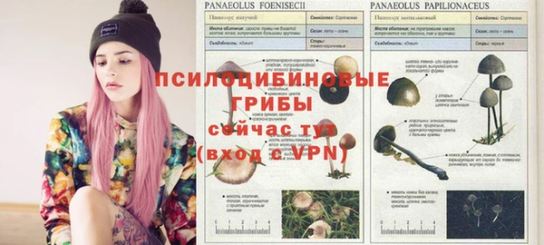 гидропоника Богданович
