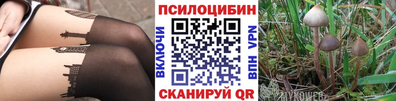 Псилоцибиновые грибы прущие грибы  сайты даркнета наркотические препараты  Клинцы 